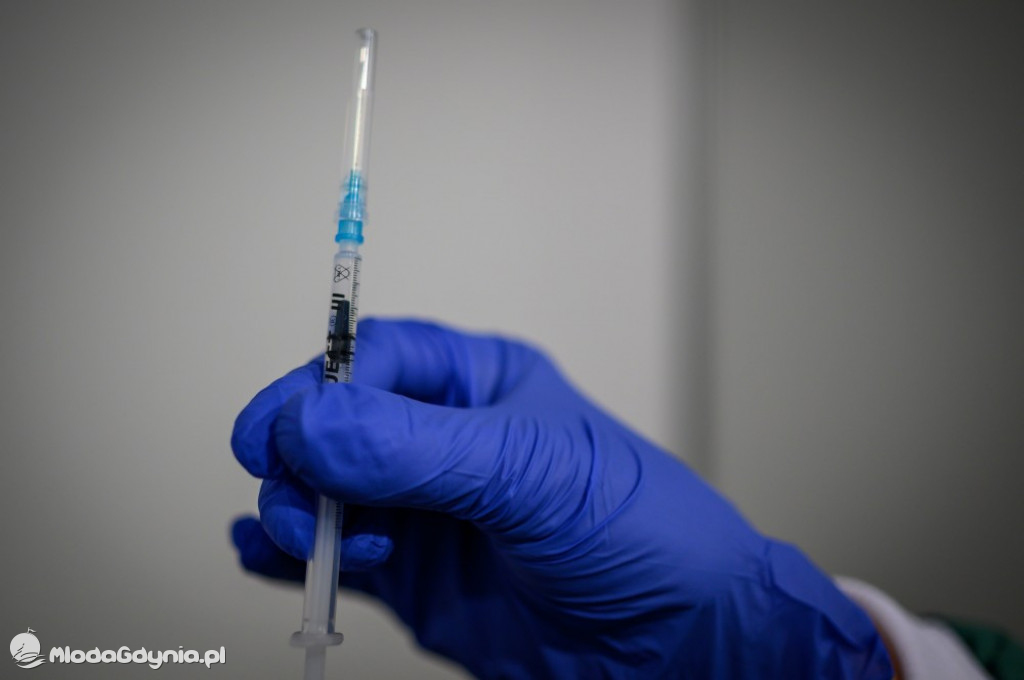 Etapy powstawania szpitala tymczasowego na AMBEREXPO