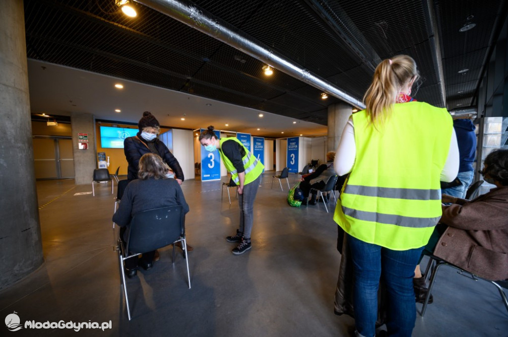 Etapy powstawania szpitala tymczasowego na AMBEREXPO