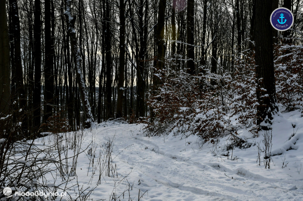 PTTK Kotwica - 13.Kartuzy - 30.01.2021