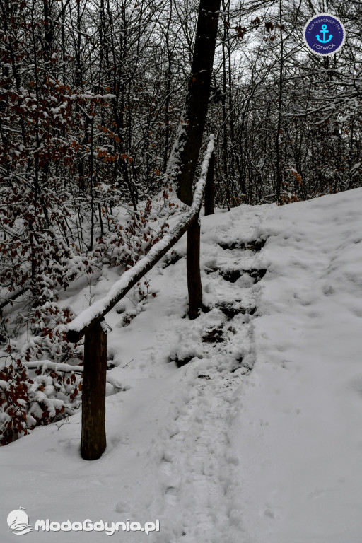 PTTK Kotwica - 13.Kartuzy - 30.01.2021