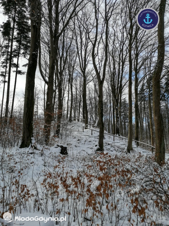 PTTK Kotwica - 13.Kartuzy - 30.01.2021