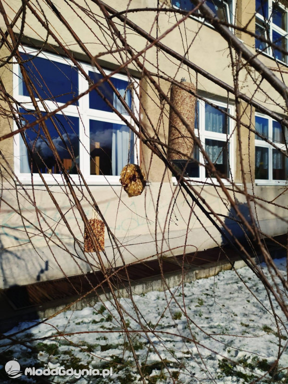 SP 44 - I D dokarmia ptaki