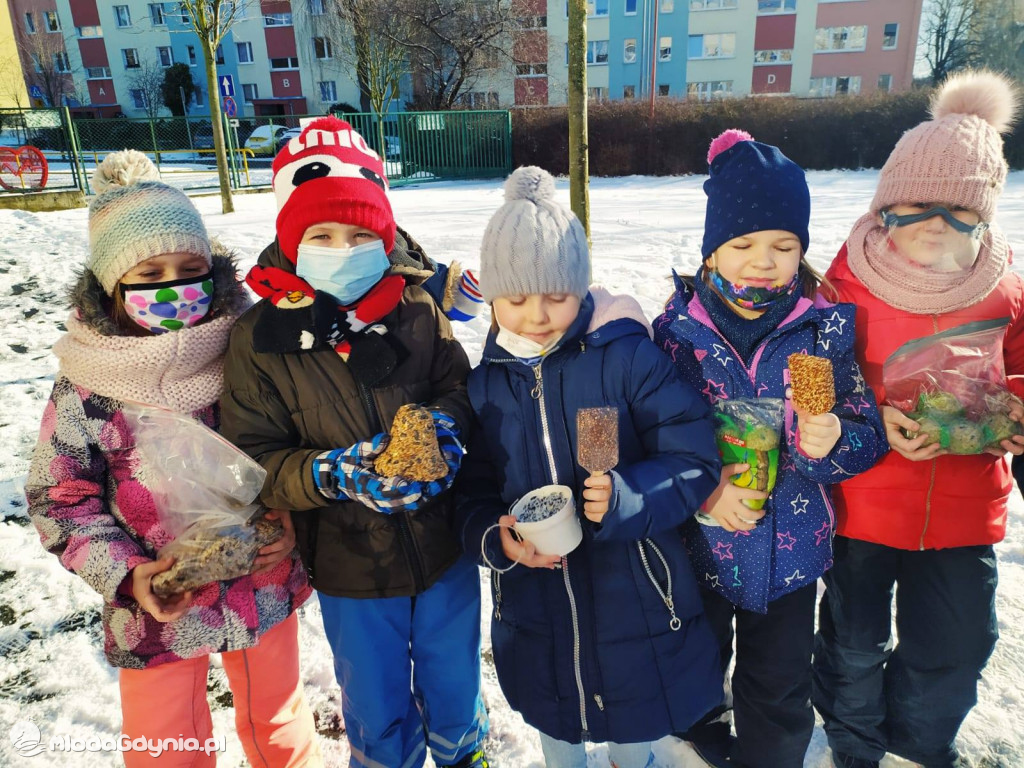 SP 44 - I D dokarmia ptaki