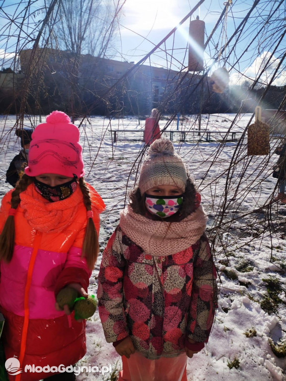 SP 44 - I D dokarmia ptaki