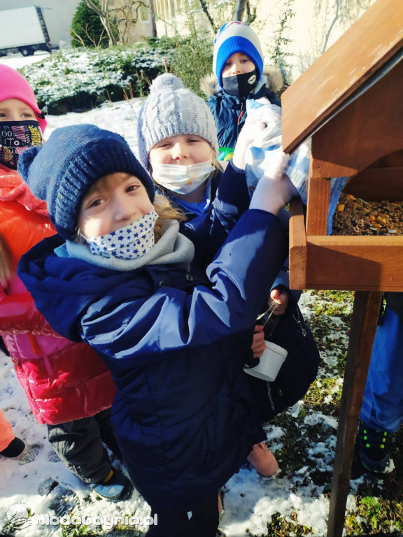 SP 44 - I D dokarmia ptaki