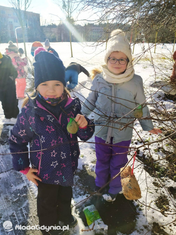 SP 44 - I D dokarmia ptaki