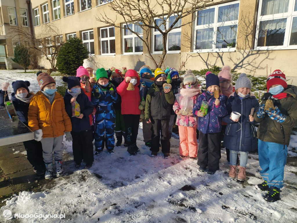 SP 44 - I D dokarmia ptaki