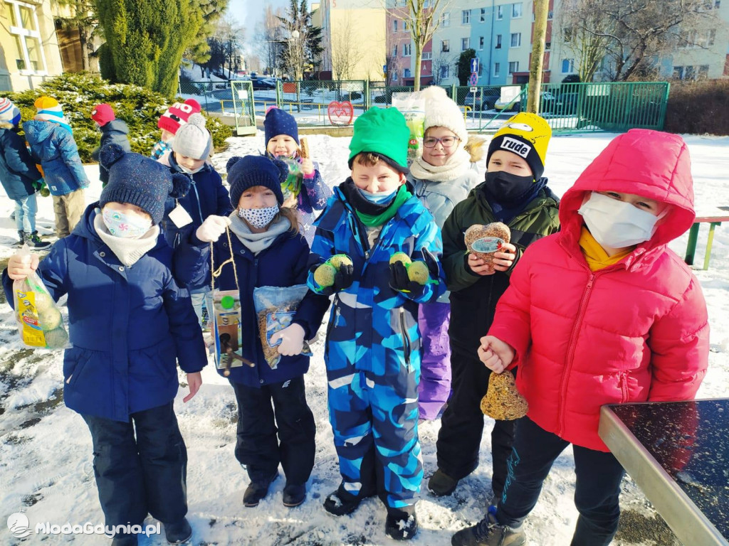 SP 44 - I D dokarmia ptaki