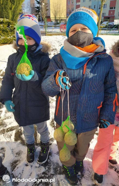 SP 44 - I D dokarmia ptaki