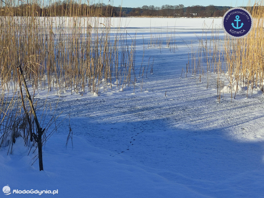 14. Urodzinowy Kulig - 13.02.2021