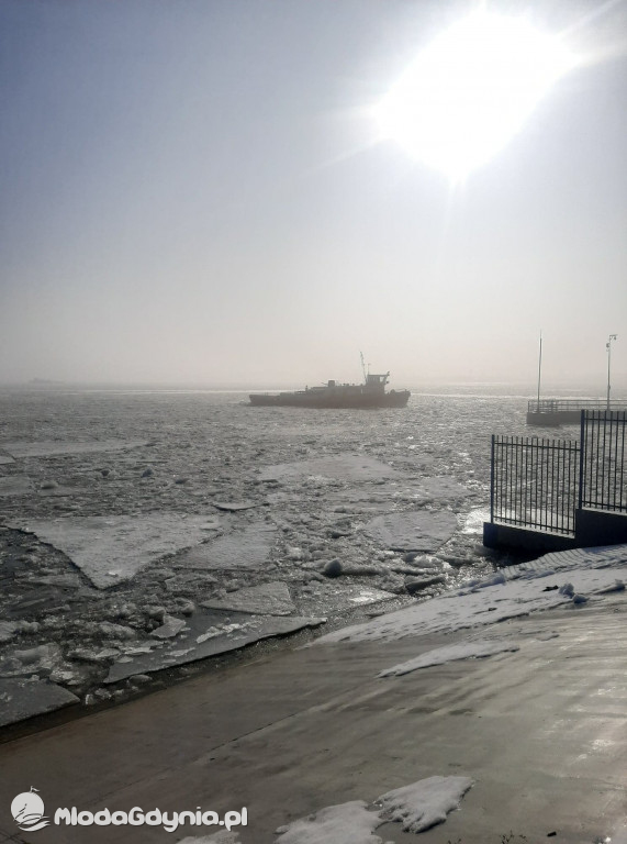 Tama we Włocławku 22.02.2021