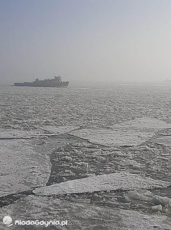 Tama we Włocławku 22.02.2021