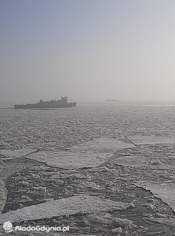 Tama we Włocławku 22.02.2021