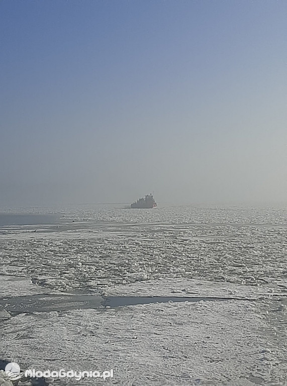 Tama we Włocławku 22.02.2021