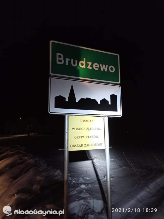 Ptasia grypa w powiecie puckim