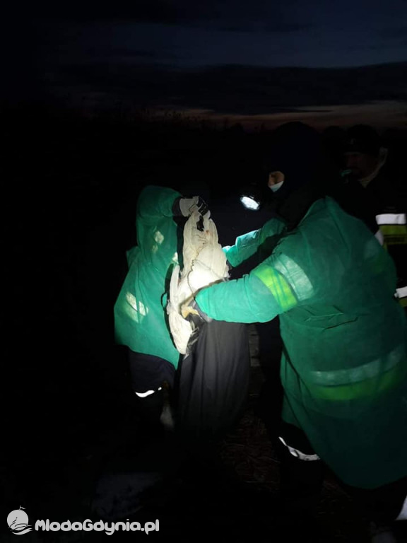 Ptasia grypa w powiecie puckim