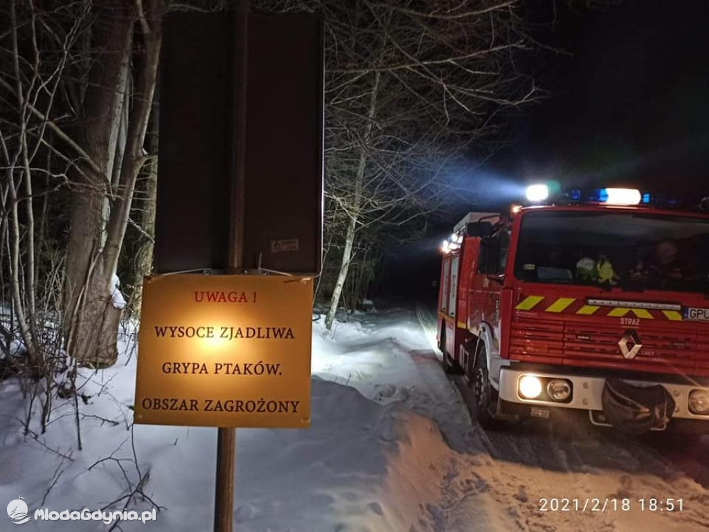 Ptasia grypa w powiecie puckim