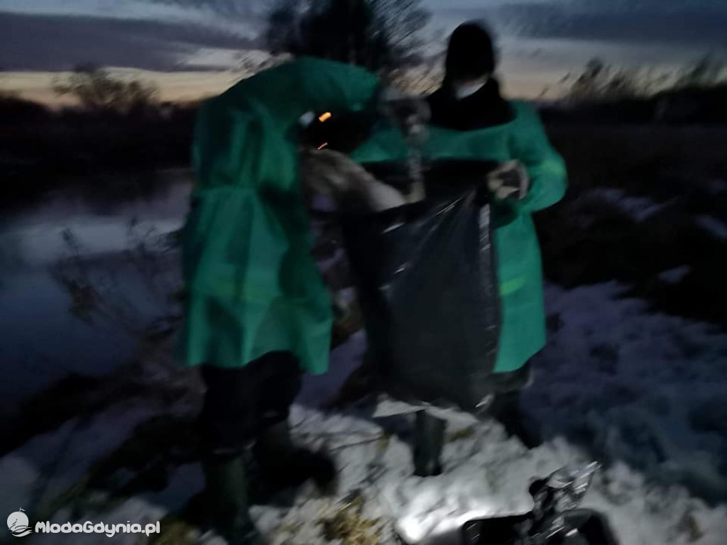 Ptasia grypa w powiecie puckim