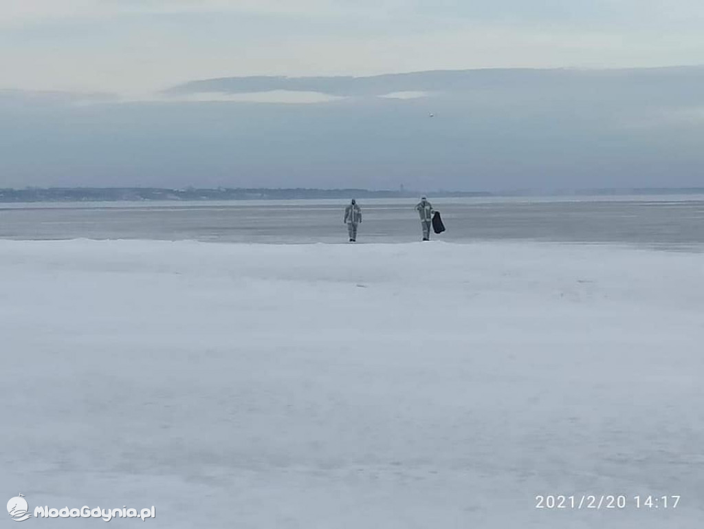 Ptasia grypa w powiecie puckim