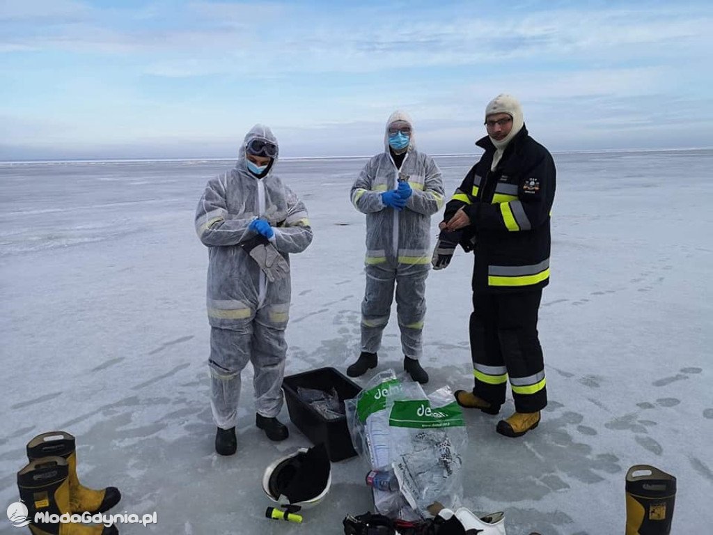 Ptasia grypa w powiecie puckim