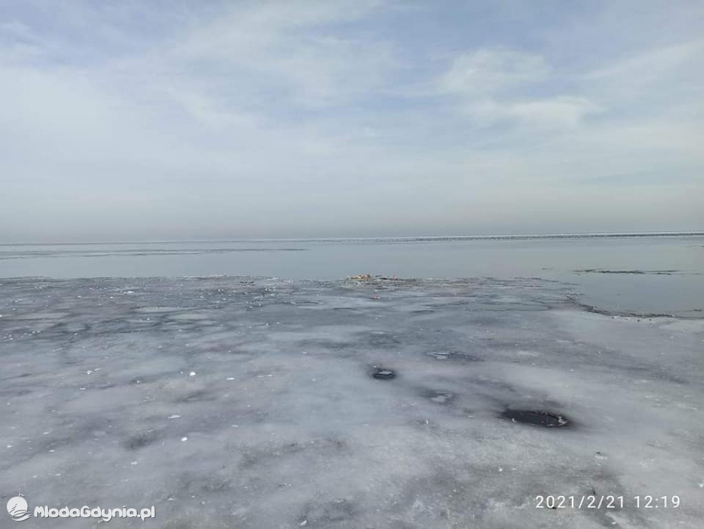 Ptasia grypa w powiecie puckim