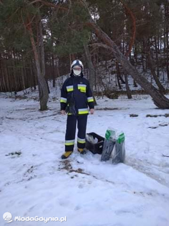 Ptasia grypa w powiecie puckim