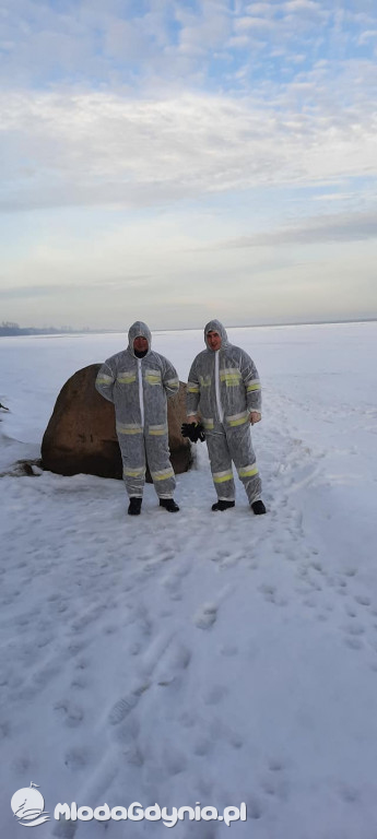 Ptasia grypa w powiecie puckim
