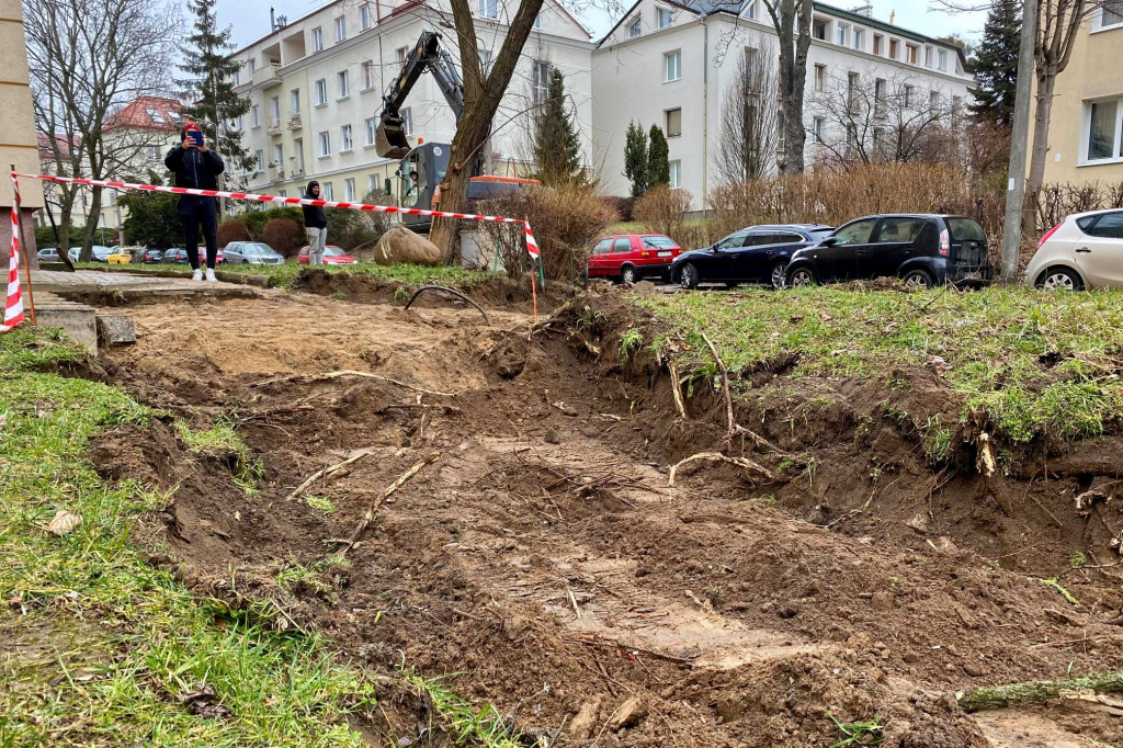 Wycięte drzewa przy Necla