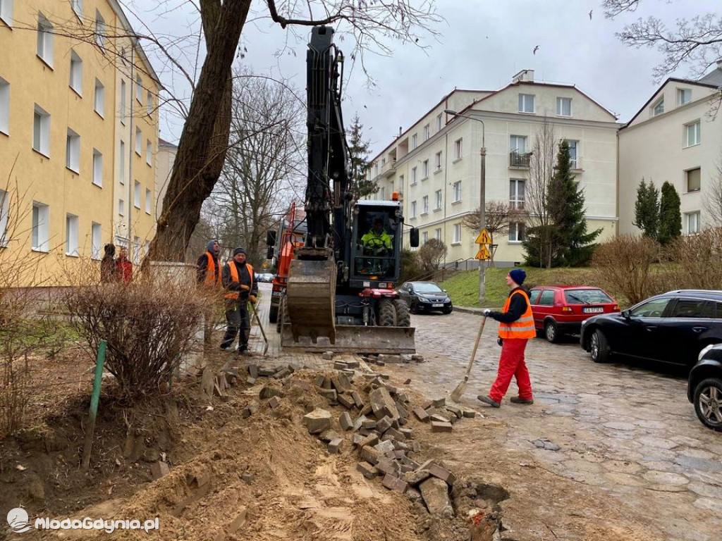 Wycięte drzewa przy Necla