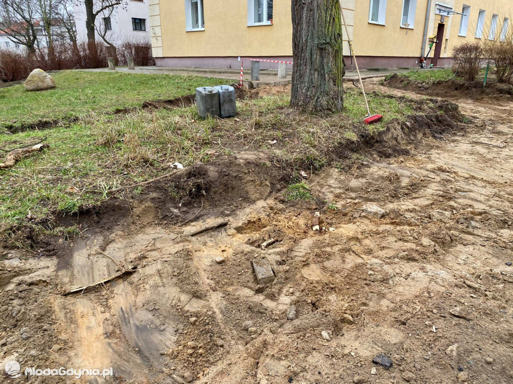 Wycięte drzewa przy Necla