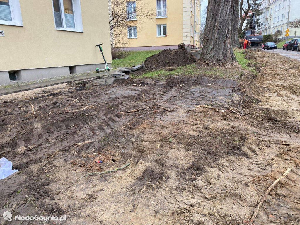 Wycięte drzewa przy Necla