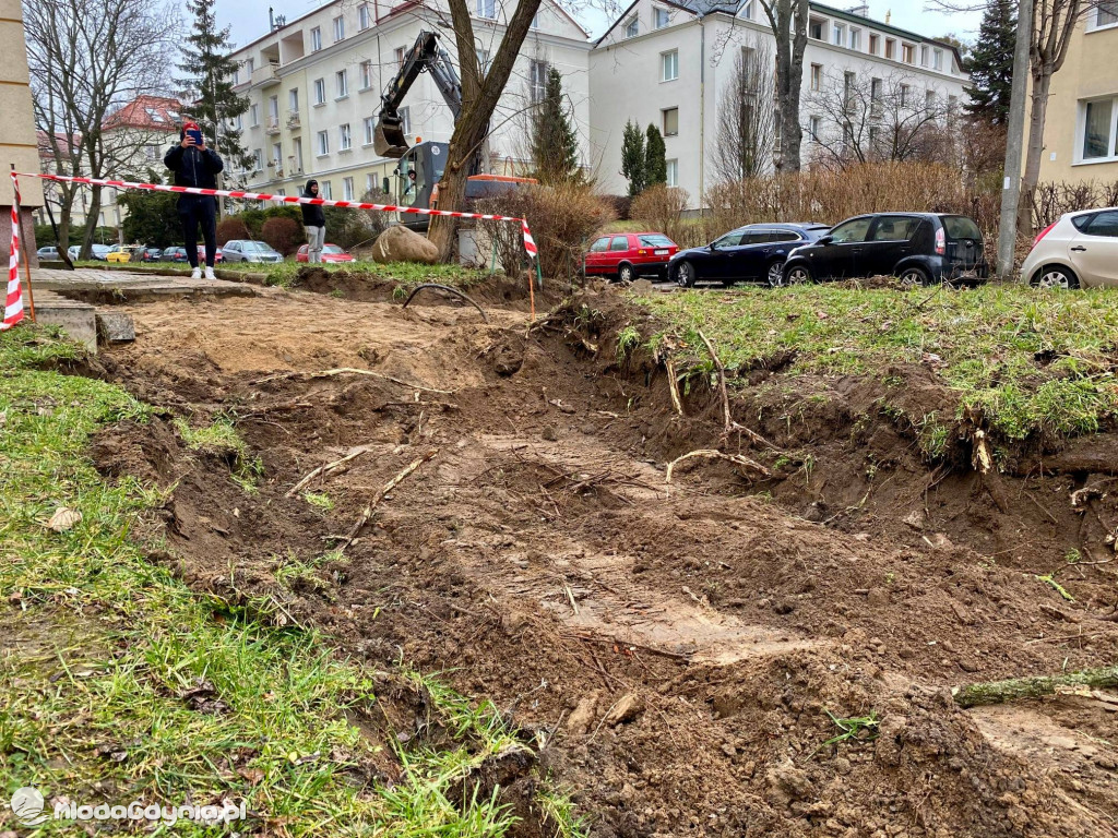Wycięte drzewa przy Necla
