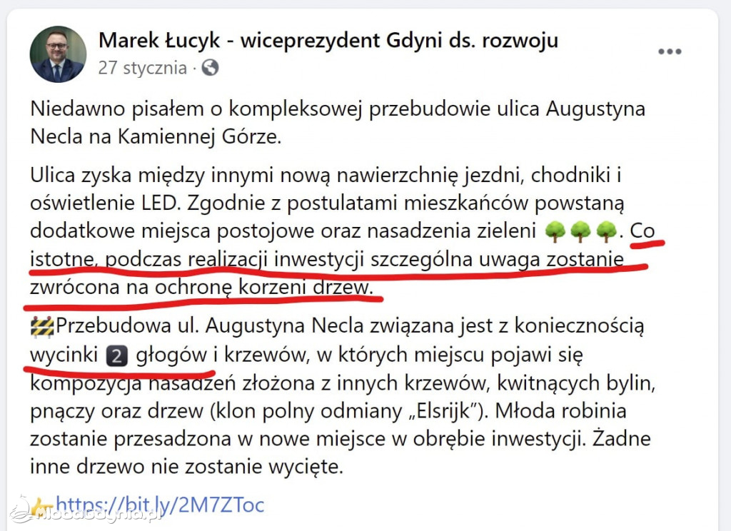 Wycięte drzewa przy Necla