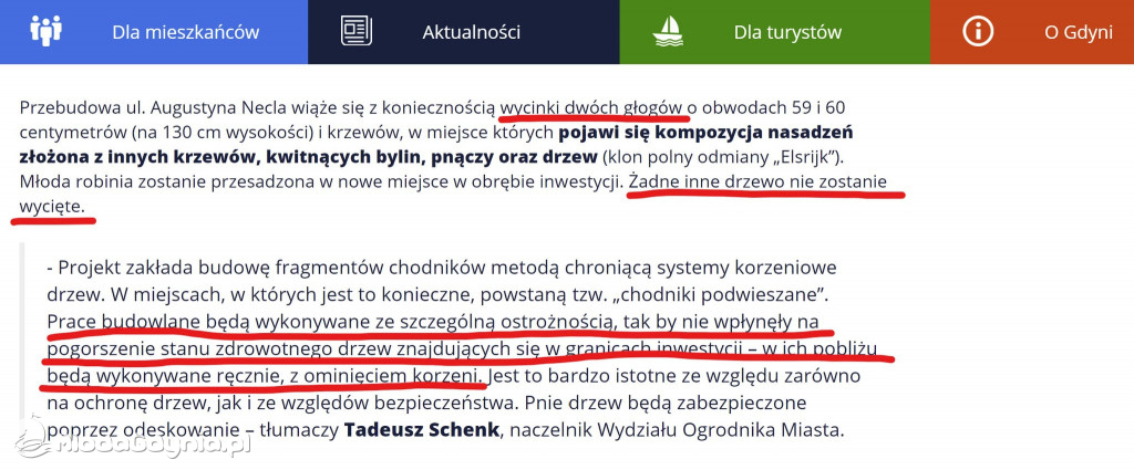 Wycięte drzewa przy Necla