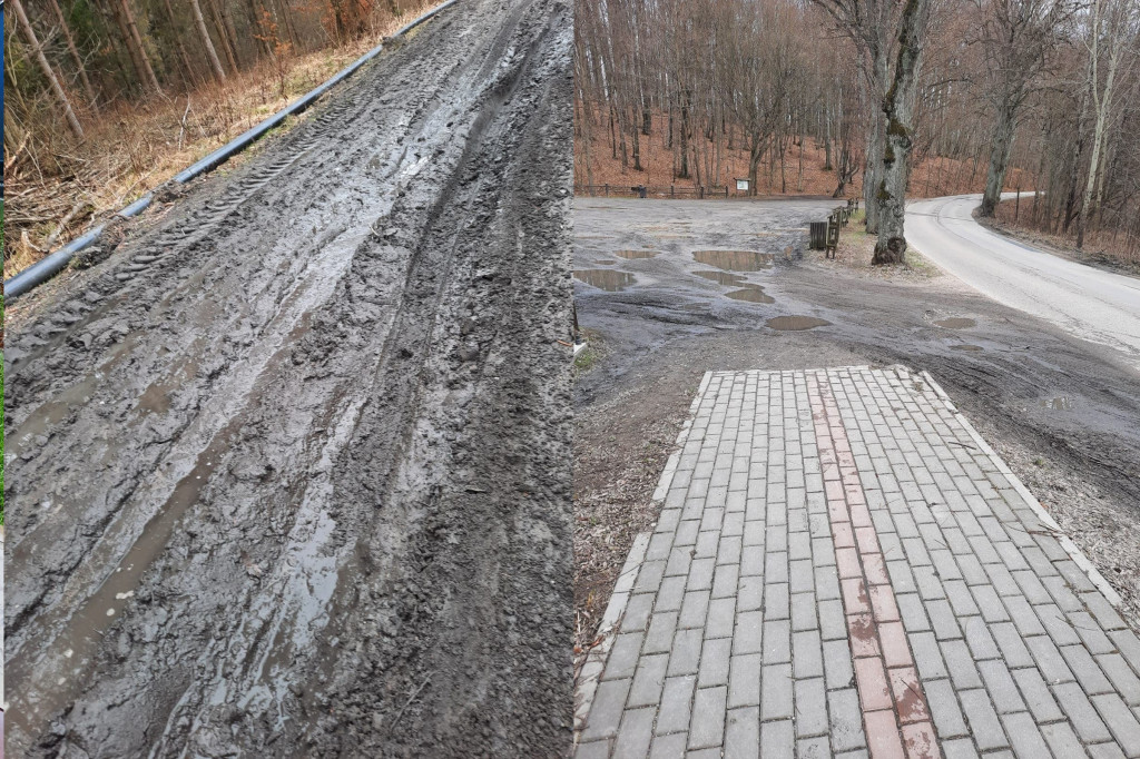 Ścieżki rowerowe w Kartuzach