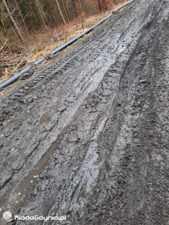 Ścieżki rowerowe w Kartuzach