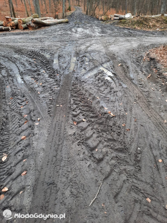 Ścieżki rowerowe w Kartuzach