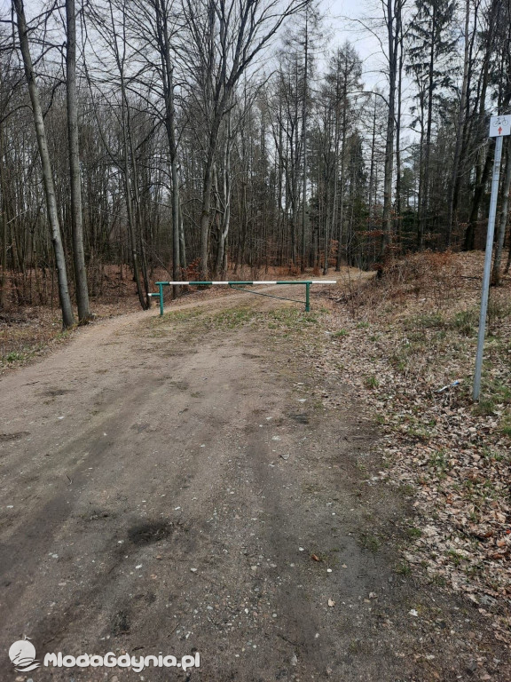 Ścieżki rowerowe w Kartuzach