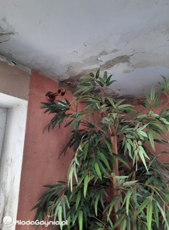 Zaplecze stadionu miejskiego w Kartuzach