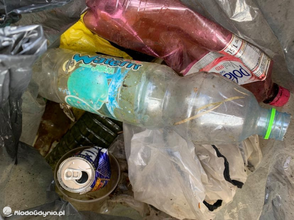 Sprzątanie brzegu jeziora Klasztornego Małego w Kartuzach w ramach Dnia Ziemi 2021