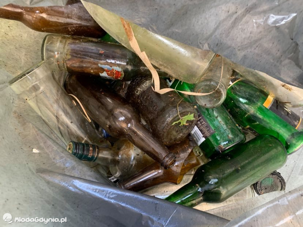 Sprzątanie brzegu jeziora Klasztornego Małego w Kartuzach w ramach Dnia Ziemi 2021