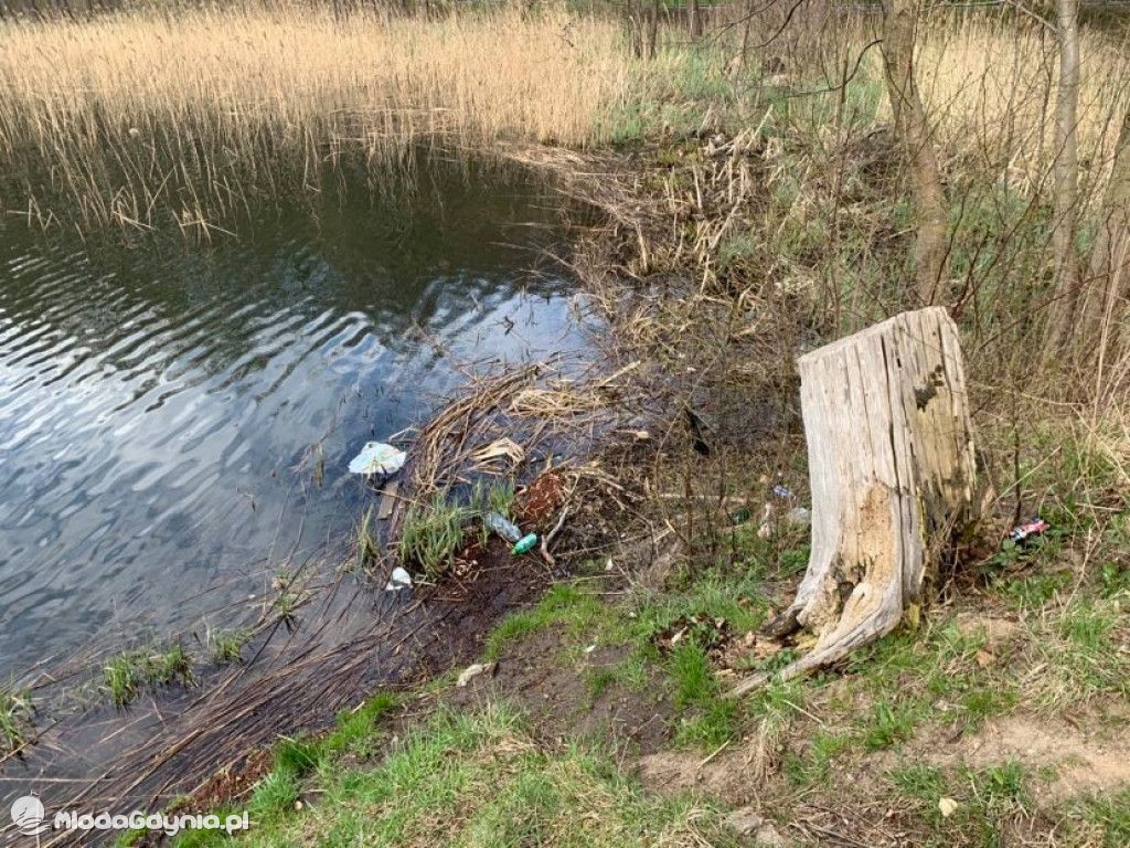 Sprzątanie brzegu jeziora Klasztornego Małego w Kartuzach w ramach Dnia Ziemi 2021