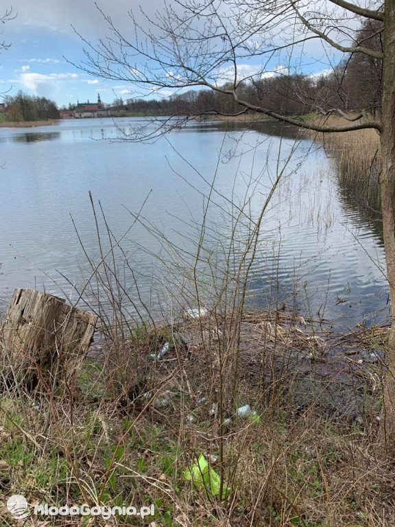 Sprzątanie brzegu jeziora Klasztornego Małego w Kartuzach w ramach Dnia Ziemi 2021