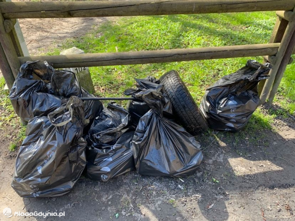 Sprzątanie brzegu jeziora Klasztornego Małego w Kartuzach w ramach Dnia Ziemi 2021