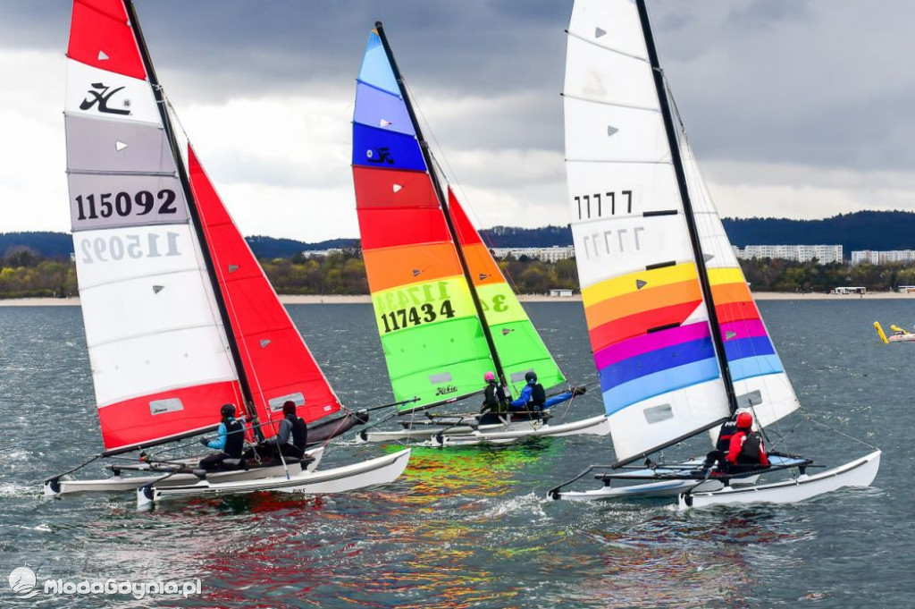 Regaty Katamaranów Trzy Mola