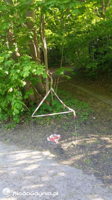 Strefa Płatnego Parkowania na Polance Redłowskiej