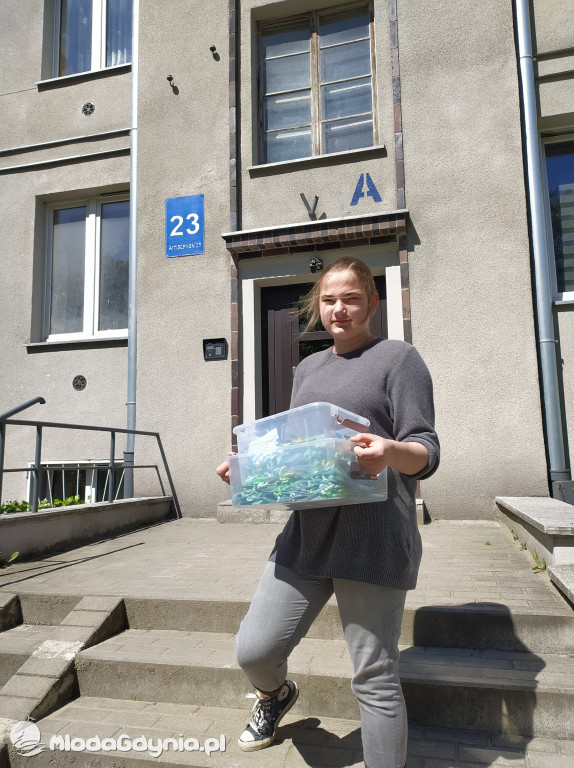 Stworzenie przestrzeni rekreacyjnej dla dzieci przy ul Arciszewskich 23