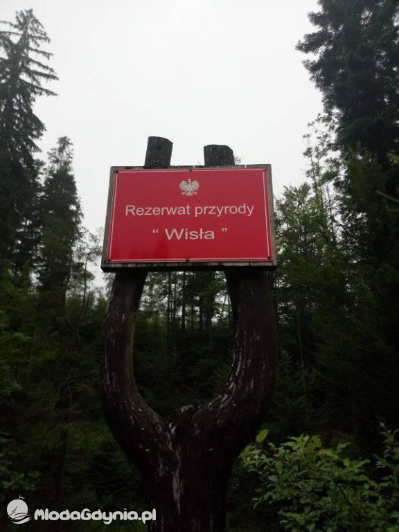 Marsz wzdłuż Wisły