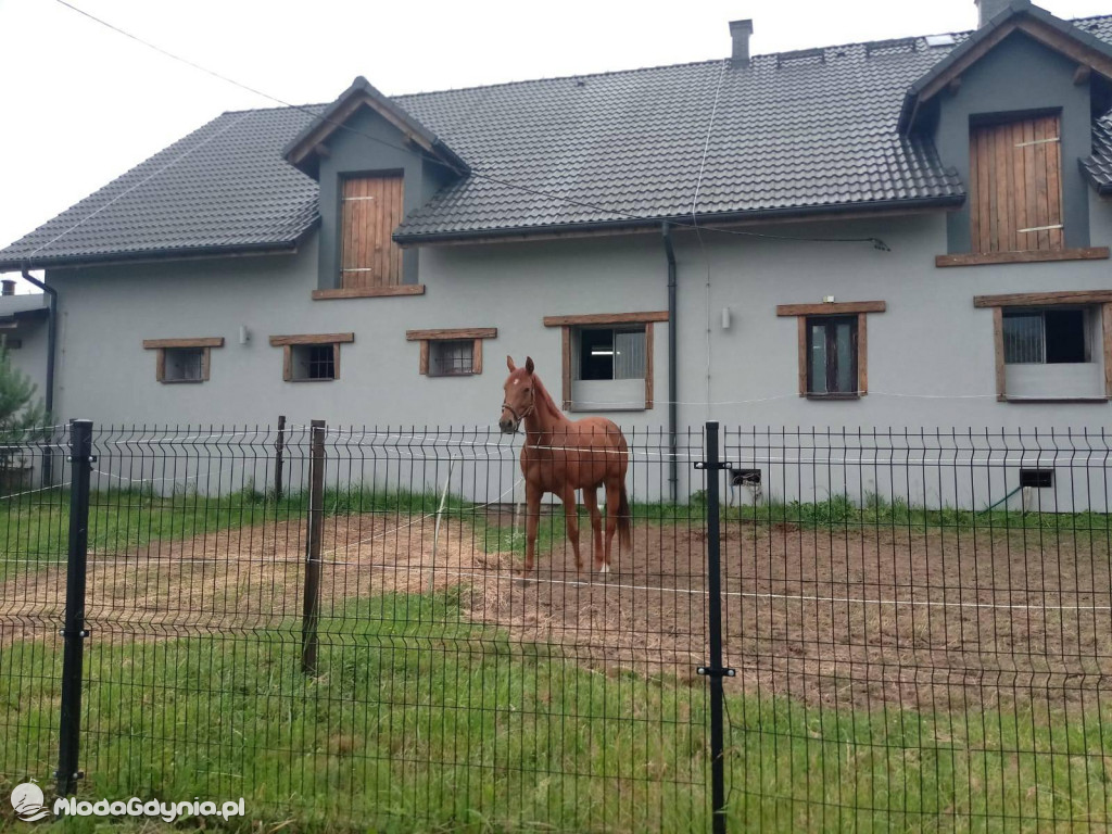 Marsz wzdłuż Wisły