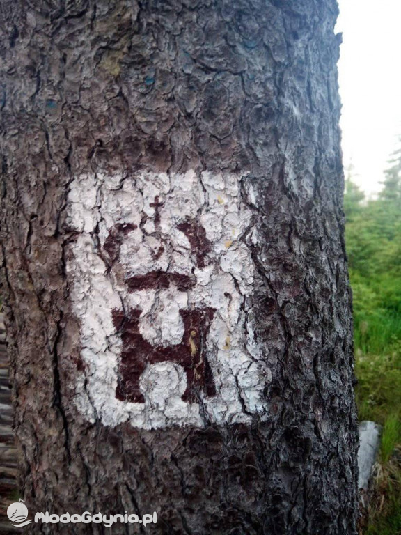 Marsz wzdłuż Wisły